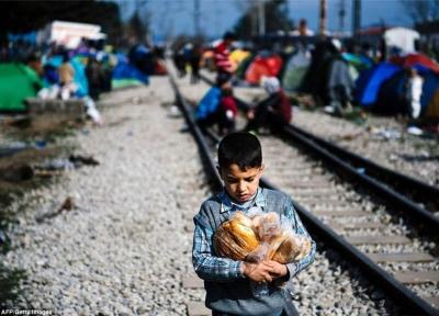 پناهجویان در تقلای نان و هیزم در اروپا