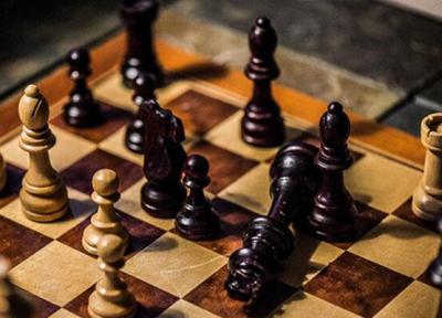 برگزاری اردوی آنلاین برای 30 شطرنجباز رده های پایه