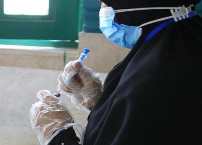 2 میلیون و 200 هزار دُز واکسن برکت تحویل وزارت بهداشت شده است