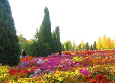 آشنایی با باغ گیاه شناسی ملی ایران