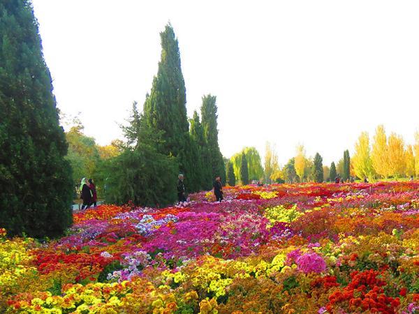 آشنایی با باغ گیاه شناسی ملی ایران