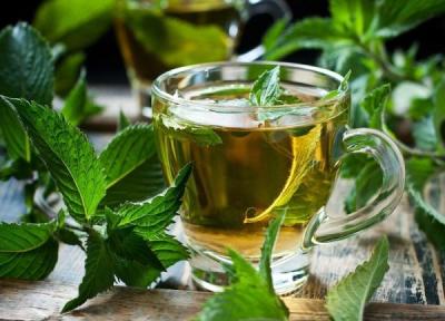10 طرز تهیه دمنوش نعناع